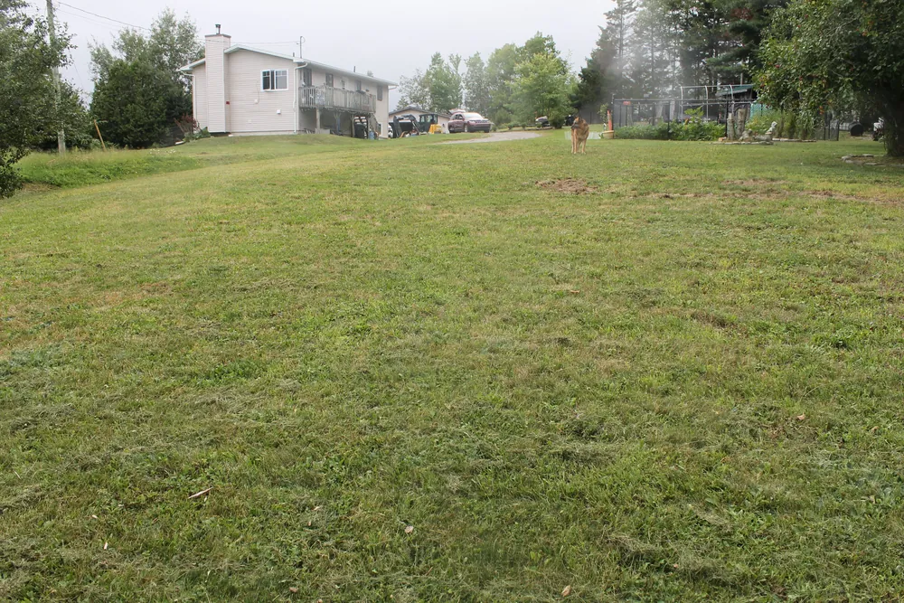 A wide lawn cut end to end, rising to the house at the top of the property
