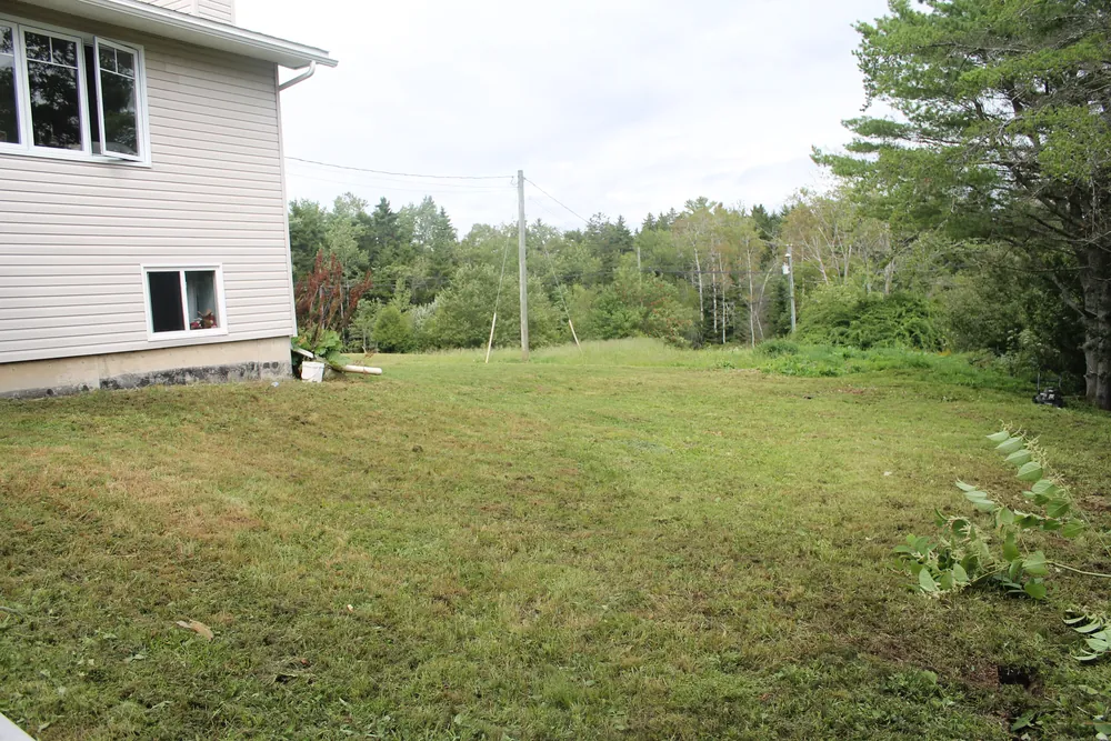 Cut lawn along the side of a house, out to the treeline