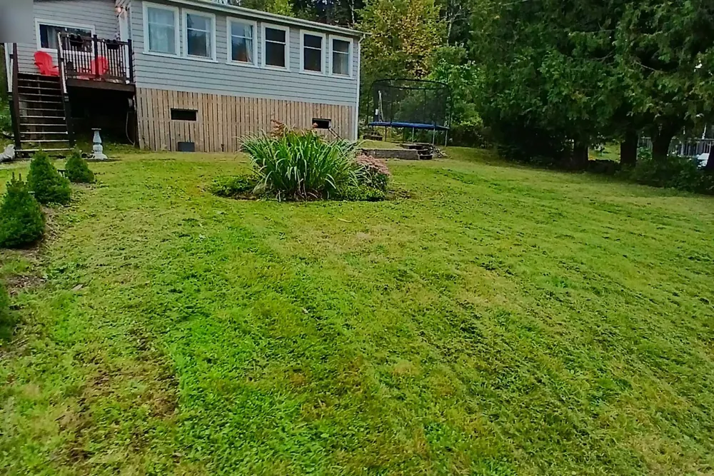 The same Westfield Road lawn after the cut, even, with mower lines across it